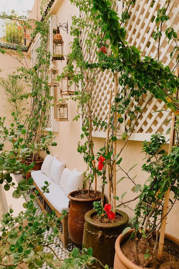 Riad Maison 24 马拉喀什 外观 照片