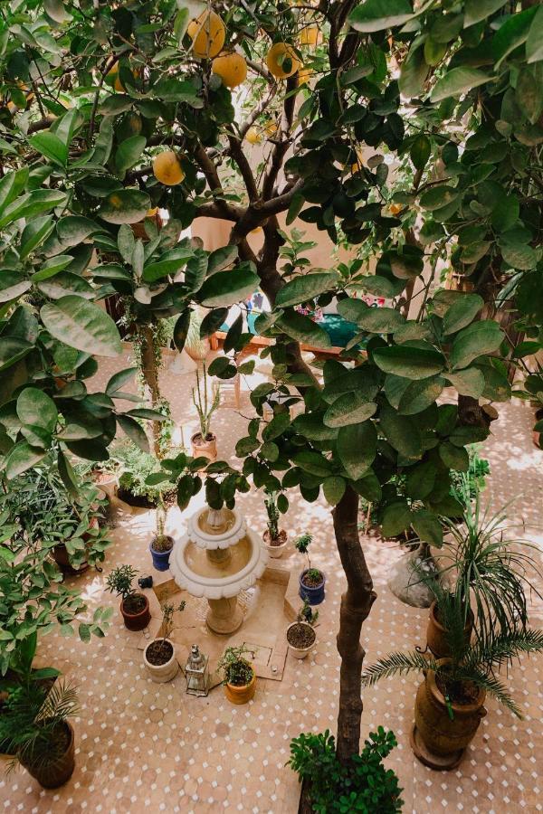 Riad Maison 24 马拉喀什 外观 照片